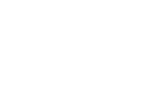 Flair Interiors Logo